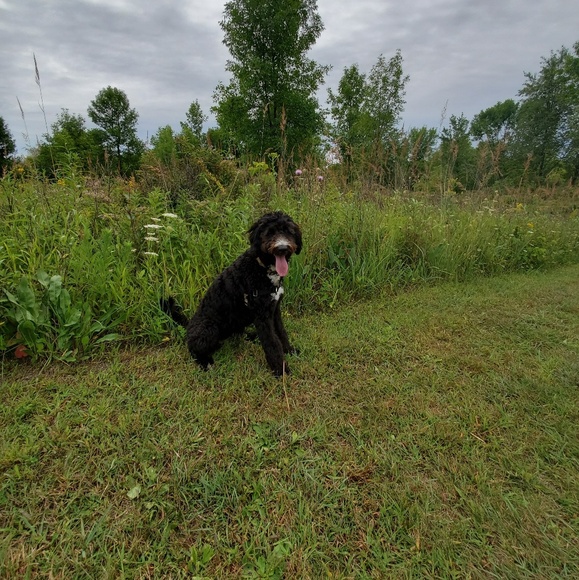 Meet your Posher, Mary - Picture 1 of 1